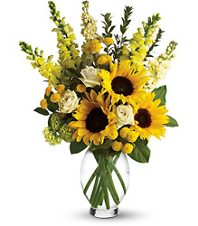 Here Comes The Sun by Teleflora from Boulevard Florist Wholesale Market